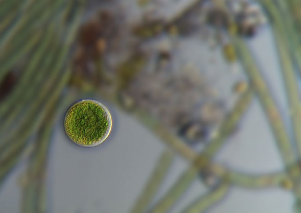 Piccolo discorso senza meta.